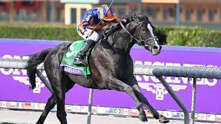 AUGUSTE RODIN wins the Breeders Cup Turf. A special horse & special ride from Ryan Moore