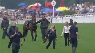 Horse Run Before Race  very Dangerous video