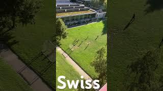 Natural Swiss