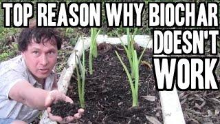 Top Reason Why Biochar Doesnt Increase Crop Yields & 5 Ways to Fix it