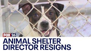 South Houston Animal Shelter director resigned after abuse neglect allegations