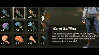 WarmCoolElectric Safflina  Farming Location  Zelda BOTW