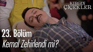 Kemal zehirlendi mi? - Kırgın Çiçekler 23. Bölüm