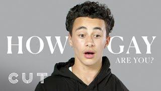 How Gay Are You?  100 Teens  Cut