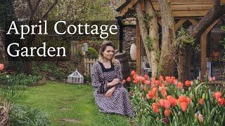 April Cottage Garden - Tulips Everywhere Spring Flowers & Growing Vegetable Plants