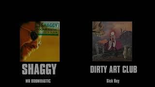 Shaggy - Mr Boombastic ft Dirty Art Club MASHUP