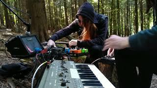 Huge ambient drone jam 3 in the forest Roland SH101 and Behringer Crave synths with guitar FX loops