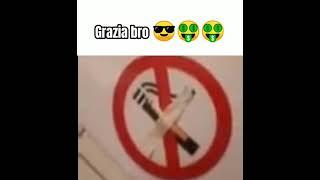 Grazia bro