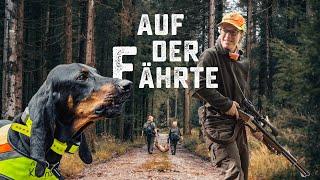 AUF DER FÄHRTE  Eine Familie gemeinsam auf Rehjagd mit Schweizer Laufhund  Drückjagd