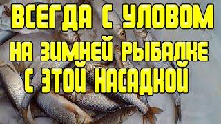 Вся рыба клюёт зимой Насадка для ловли плотвыголавляокуня на рыбалке зимой