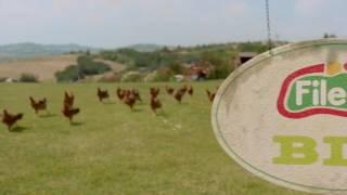 Cosa cè dietro una cotoletta di pollo Fileni BIO? - Spot TV 30