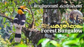 Pakuthippalam Forest Bungalow  Nelliyampathi Forest  Hornbill Story