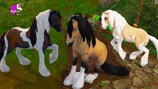 All 6 Tinkers Buying New Tinker Horses Star Stable Online Video Game