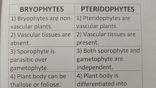 Difference Between Bryophytes And Pteridophytes?-Class Series