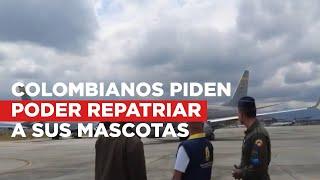 Colombianos atrapados en el Líbano piden evacuar junto a sus mascotas