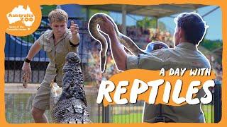 Spend the day as a reptile keeper