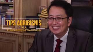 Tips Agribisnis Ala Tung Desem Waringin