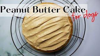 Easy Peanut Butter Dog Cake Recipe   WHISKOPETS KITCHEN   HOMEMADE DOG FOOD & TREATS 
