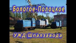 Узкоколейка Бологовского шпалопропиточного завода. Narrow-gauge railway in Bologoye