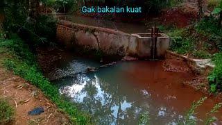 gak akan kuat mancing di sungai ini