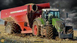 FENDT Traktoren versinken im Schlamm  Schlammschlacht  Körnermais ernten Mulchen & Pflügen 2020
