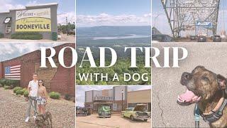 Road Trip with a Dog  ️  Mt. Magazine State Park and Booneville