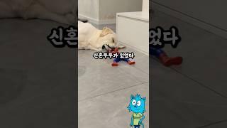 신혼부부의 시계 #웃긴 #유머 #썰톡