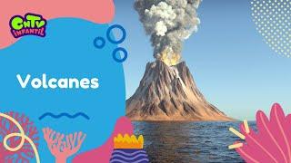 Volcanes - Bichitos