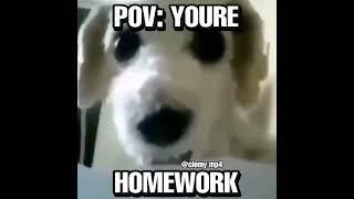 pov your homework