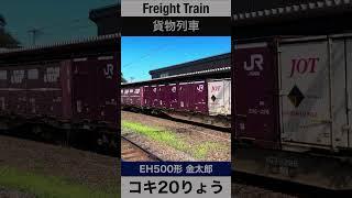 【豪快】東北本線松島駅を高速で通過する貨物列車【電車が大好きな子供向け】Japanese Trains for Kids - Freight Train