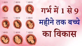 1 to 9 Month baby development in hindi  Fetal development month by month  Garbh me Shishu ka Vikas