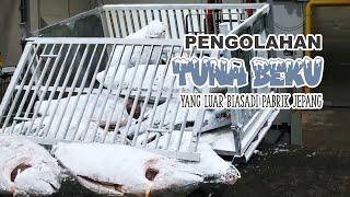 Proses pengolahan tuna beku yang luar biasa di pabrik Jepang