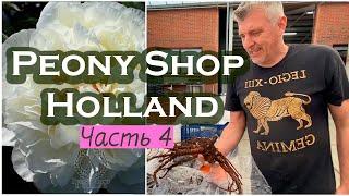 PEONY SHOP HOLLAND ЧАСТЬ 4