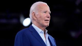 Biden administration ‘afraid’ of Israel going after Hezbollah