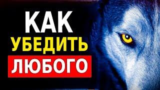 Как Убедить Кого Угодно в Чем Угодно 9 Способов Убеждать Людей