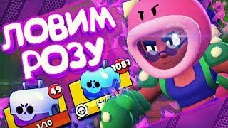 ОФИГЕТЬ - ВОТ ЭТО ПОВЕЗЛО РОЗА ВЫПАЛА В САМЫЙ НЕОЖИДАННЫЙ МОМЕНТ  BRAWL STARS