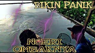 Bikin Tegang... Liat Ukuran Ikan monster  