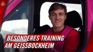 Besonderes Training am Geißbockheim  1. FC Köln  Deutsche Telekom