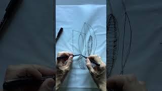 Sketching Concepts - Mid Rise Bio Complex