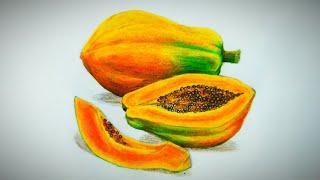 Papaya and slices drawing and pencil coloring tutorial  Freehand drawing  Realistic drawing