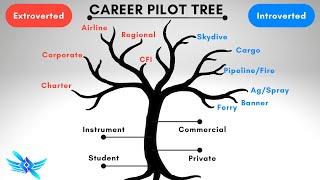 ️The Career Pilot Tree Path - Choose Wisely
