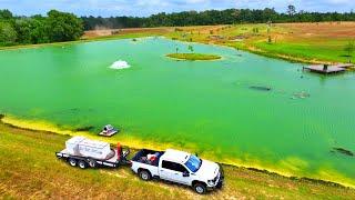 Adding 8000 Fish to the 5 Acre Pond