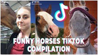 Cute And Funny Horse TikToks That Went Viral
