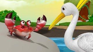 The Crane and the Crab  Stories for Kids  Moral Stories  Infobells