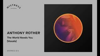 Anthony Rother - The World Needs You Vocals Mistress 12.5