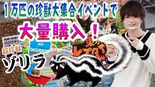 珍獣大集合イベントでの出来事＆購入品紹介！【東レプ】