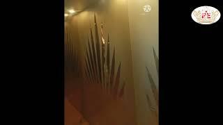 Amazing Designer Lift PRINCE ELEVATORS