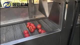 Tomato washing and air drying working video