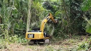 Land clearing  CAT 320D2L