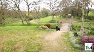 Chenil Saint-Roch Pension pour chiens et chats à Taulé Finistère 29 TiVi Guide